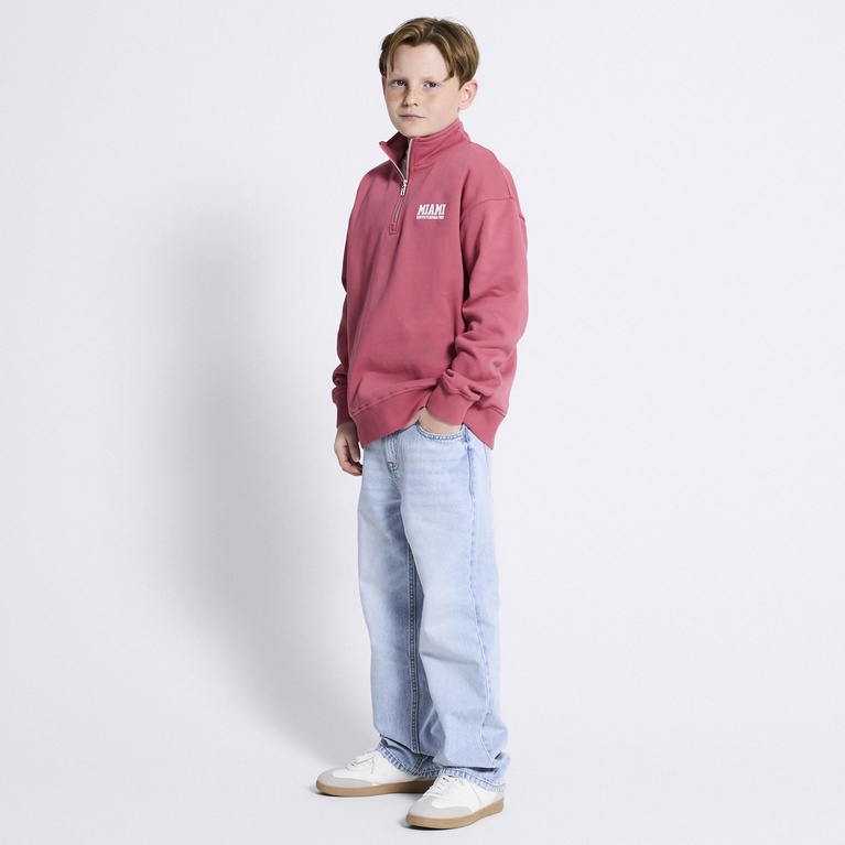 Half-zip sweatshirt "Clarkson" Soft red